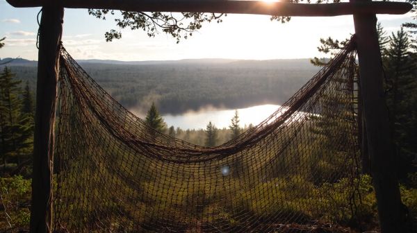 Top camo netting options to enhance your outdoor experience