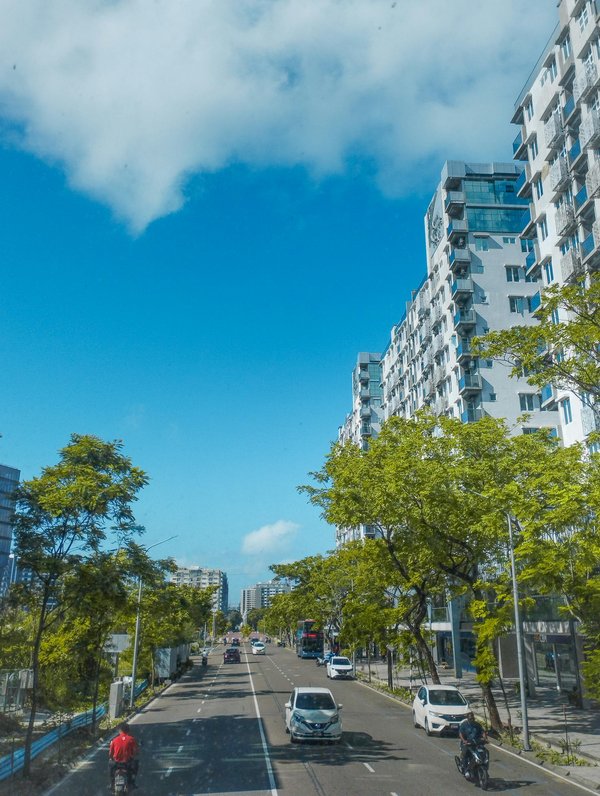 What are the best strategies for reducing noise pollution in a central London apartment?